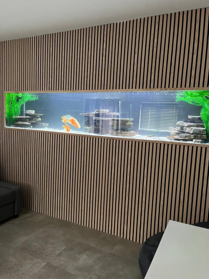 Terfyn Hall Aquarium Apartment 1 Prestatyn Extérieur photo